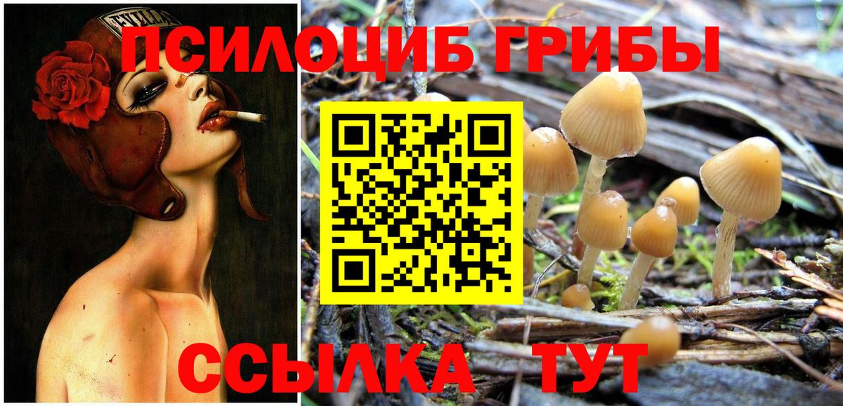 Галлюциногенные грибы Cubensis Лыткарино